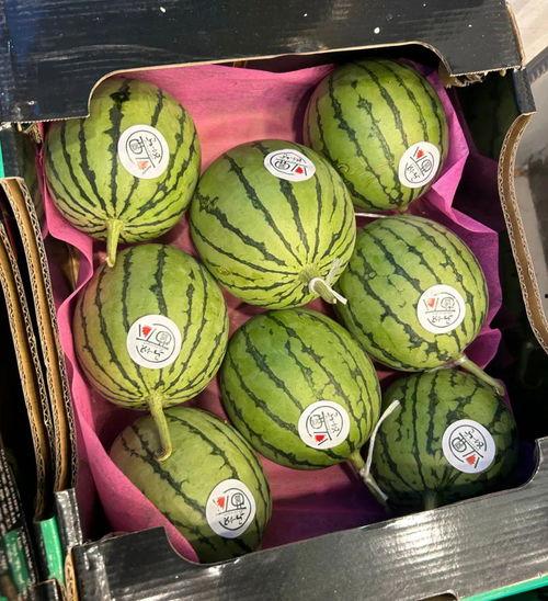 王婆吃瓜的头像,笑谈世间百态  第3张