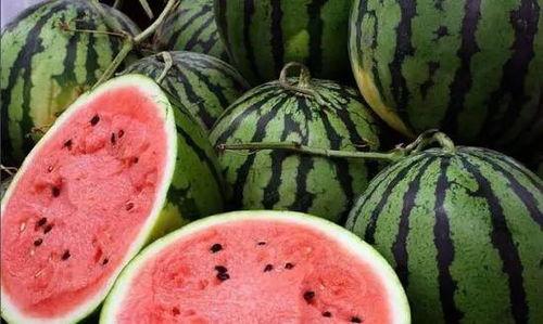 辽宁吃瓜李雪冲  第2张