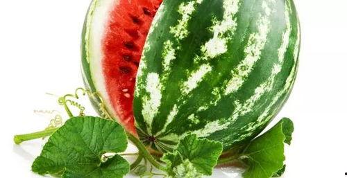 辽宁吃瓜李雪冲  第3张