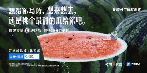 夏天文案吃瓜,瓜果飘香——夏季文案吃瓜指南  第2张