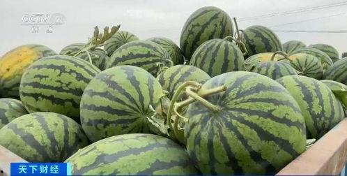 吃瓜师堂,揭秘娱乐圈幕后故事  第3张