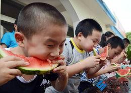 幼儿吃瓜大赛教案,趣味教学新体验”  第2张