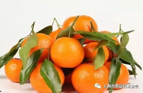 橘总吃瓜,揭秘娱乐圈幕后风云  第3张