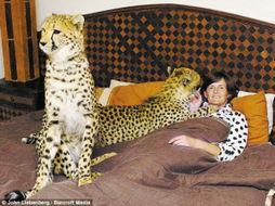 猛兽吃瓜谜语  第3张