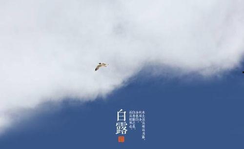 白露吃瓜的视频,跟随白露吃瓜视频探寻秋季美食之旅 第1张 白露吃瓜的视频,跟随白露吃瓜视频探寻秋季美食之旅 第1张