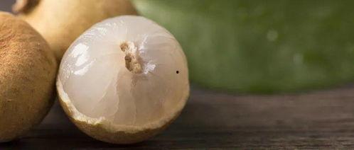 白露吃瓜的视频,跟随白露吃瓜视频探寻秋季美食之旅 第2张 白露吃瓜的视频,跟随白露吃瓜视频探寻秋季美食之旅 第2张