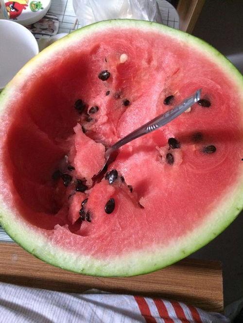 白露吃瓜的视频,跟随白露吃瓜视频探寻秋季美食之旅 第3张 白露吃瓜的视频,跟随白露吃瓜视频探寻秋季美食之旅 第3张