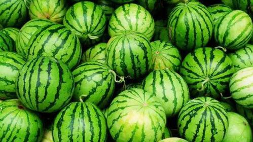 吃瓜几集,一集一真相,带你领略娱乐圈风云变幻 第1张 吃瓜几集,一集一真相,带你领略娱乐圈风云变幻 第1张