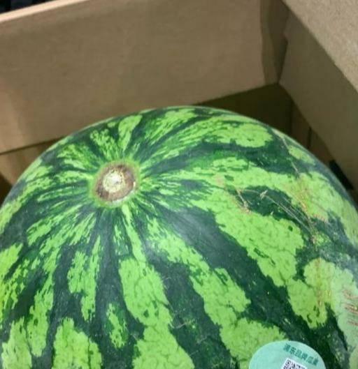 圈内吃瓜真假辨别,真假吃瓜,真相大白 第3张 圈内吃瓜真假辨别,真假吃瓜,真相大白 第3张