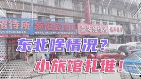 鹤岗职业吃瓜,揭秘网络红人的另类生存之道  第2张