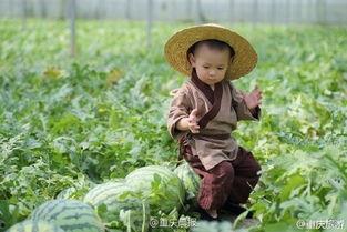 小孩吃瓜的图片,小宝贝欢乐吃瓜瞬间  第3张