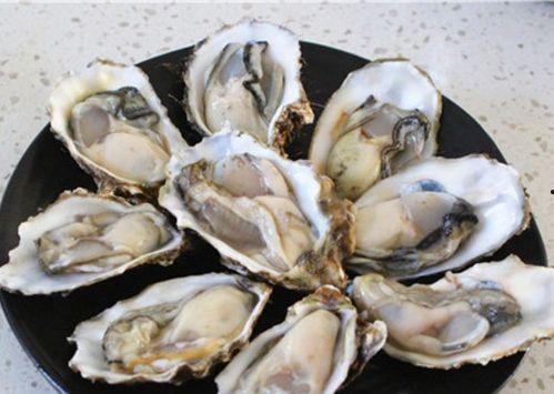 吃生蚝可以吃哈密瓜 第1张 吃生蚝可以吃哈密瓜 第1张