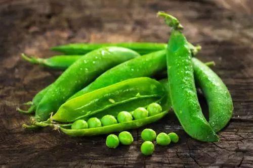 河南吃瓜文化 第3张 河南吃瓜文化 第3张