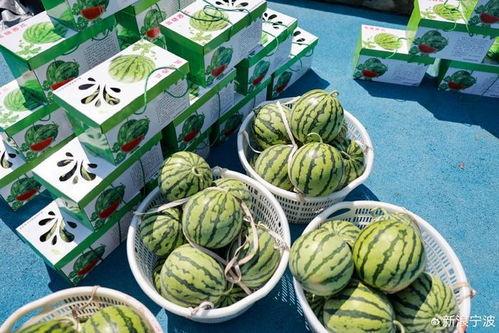 子峰吃瓜,揭秘娱乐圈的甜蜜与苦涩 第1张 子峰吃瓜,揭秘娱乐圈的甜蜜与苦涩 第1张