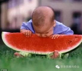 热心网友边吃瓜,网友热议背后的社会现象 第3张 热心网友边吃瓜,网友热议背后的社会现象 第3张