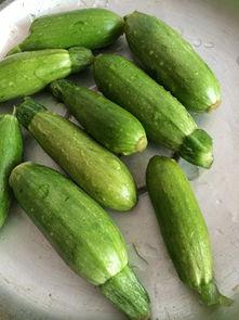 可以吃的角瓜,探索美味与健康的完美结合  第1张