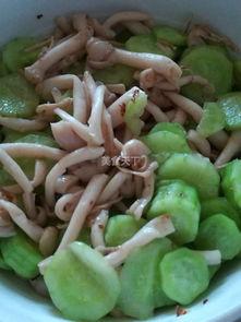 白玉菇瓜怎么吃,探索美味与营养的完美融合 第2张 白玉菇瓜怎么吃,探索美味与营养的完美融合 第2张