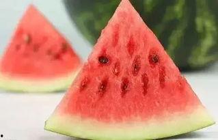 夏天吃瓜冬天,夏天吃瓜,冬天暖身 第2张 夏天吃瓜冬天,夏天吃瓜,冬天暖身 第2张