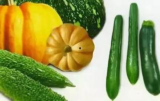 夏天吃瓜冬天,夏天吃瓜,冬天暖身 第3张 夏天吃瓜冬天,夏天吃瓜,冬天暖身 第3张