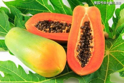 朝堂吃瓜26,揭秘26位权臣的宫廷吃瓜史 第3张 朝堂吃瓜26,揭秘26位权臣的宫廷吃瓜史 第3张