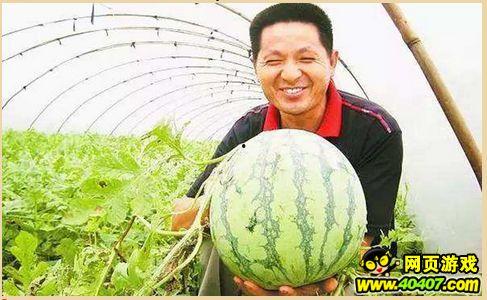 单县吃瓜墙,揭秘当地独特民俗风情 第1张 单县吃瓜墙,揭秘当地独特民俗风情 第1张