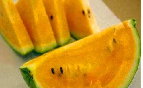 吃瓜要吃瓤的故事,一则寓教于乐的智慧寓言  第2张