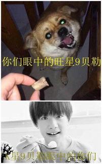 瓜娃子吃票子了,引发社会热议  第2张