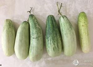 上班吃瓜经历,揭秘职场八卦背后的真相  第1张