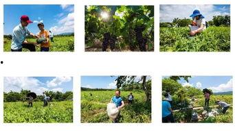 美女回家吃瓜视频,瞬间成为焦点！  第2张