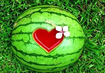 梦见摘了瓜吃瓜,摘瓜食瓜的奇幻体验  第1张