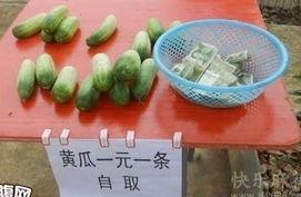 女寝室的吃瓜,揭秘宿舍里的八卦盛宴 第1张 女寝室的吃瓜,揭秘宿舍里的八卦盛宴 第1张