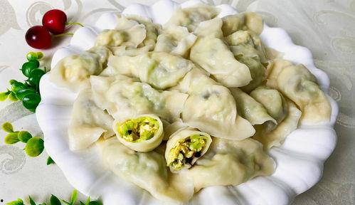 吃小瓜鸡蛋饺子,家常美味,暖胃又暖心 第1张 吃小瓜鸡蛋饺子,家常美味,暖胃又暖心 第1张