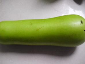 葫芦瓜嫩叶可以吃吗,绿色餐桌上的美味佳肴