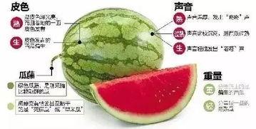 吃瓜微信小组,娱乐圈幕后那些事儿  第2张