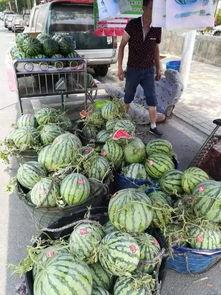 成都摄影吃瓜事件,一场网络热议的视觉风波  第2张