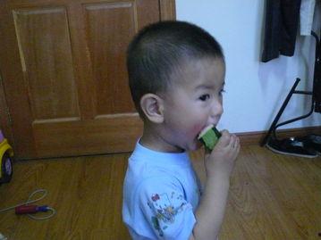 动物吃小猪的瓜,动物食猪之谜探究 第2张 动物吃小猪的瓜,动物食猪之谜探究 第2张