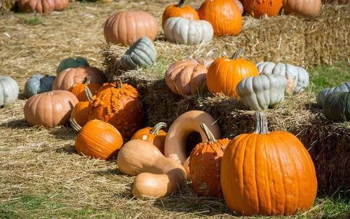 吃瓜神坛,网络舆论场中的狂欢与反思  第2张