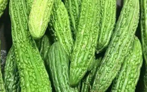 吃籽的瓜苦瓜  第2张