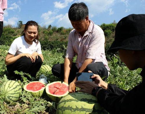 玉溪体校吃瓜  第2张