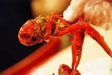 吃龙虾吃瓜什么梗  第3张