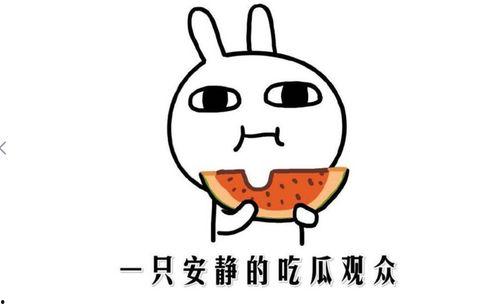 吃瓜抖音文字 第3张 吃瓜抖音文字 第3张