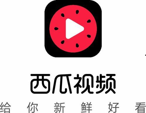 吃瓜直播txw  第3张