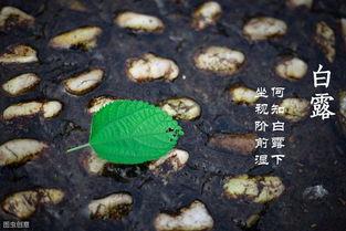 白露过了还吃瓜吗,秋季食瓜指南  第1张