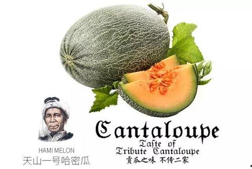 老金吃瓜生活号,揭秘娱乐圈那些不为人知的幕后故事  第2张