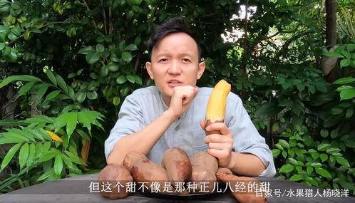 水果猎人吃大瓜,大瓜的奇幻之旅