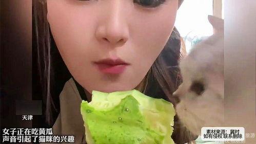 妇女在线吃瓜,妇女在线吃瓜，揭秘女性社交新趋势