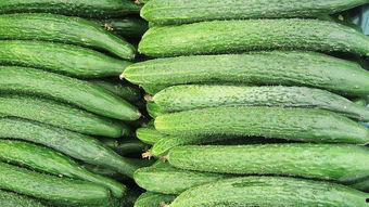 孕妇可以吃葫瓜,孕妇适量食用葫瓜的益处与建议