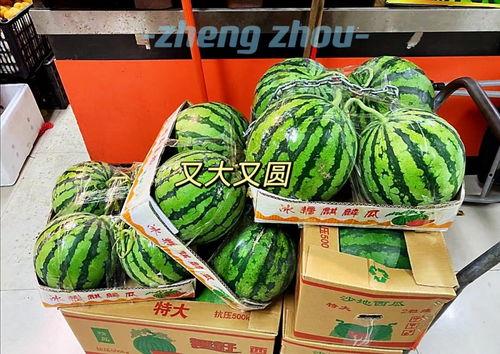 郑州吃瓜事件,一场网络热议背后的真相与反思