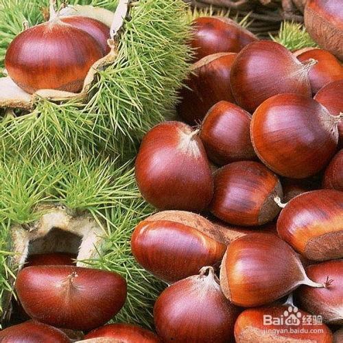 吃板栗瓜的好处,营养丰富的健康美食，吃出健康好生活