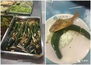 福建食堂吃瓜,瓜果飘香里的美食故事